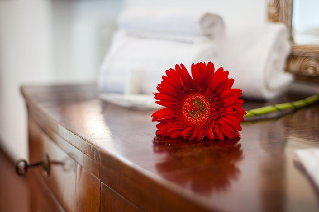 Hotel Porta Romana Di Luce Hotels เซียนา ภายนอก รูปภาพ